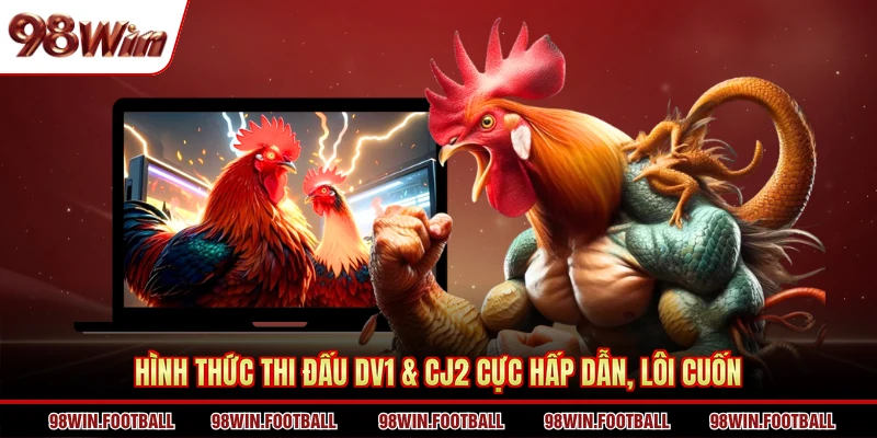 Đá Gà SV388 - Sảnh Trực Tiếp Đá Gà Thu Hút Tại 98WIN - BETZEN88.CASA