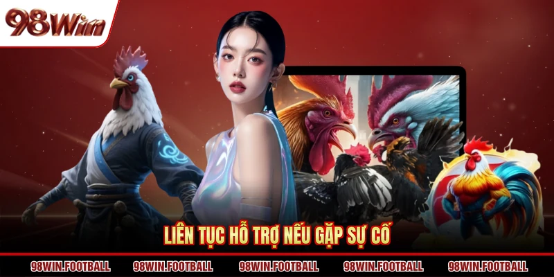 Trực Tiếp Đá Gà 98win - Theo Dõi Và Cược Chọi Kê Chất Lượng - BETZEN88.CASA