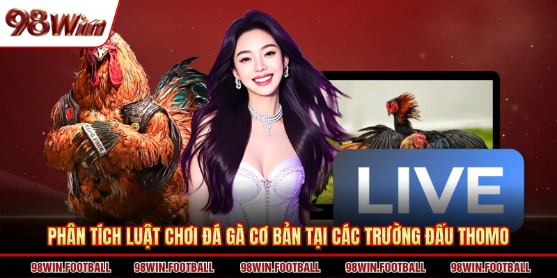 Đá gà Thomo 98WIN - Khám Phá Hình Thức Thi Đấu Cực Ăn Khách - BETZEN88.CASA