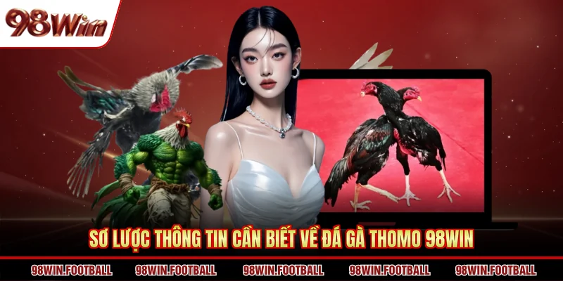 Đá gà Thomo 98WIN - Khám Phá Hình Thức Thi Đấu Cực Ăn Khách - BETZEN88.CASA