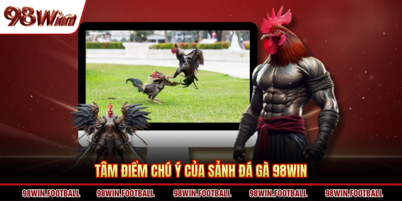 Đá Gà 98win - Trải Nghiệm Cá Cược Chọi Kê Kịch Tính - BETZEN88.CASA