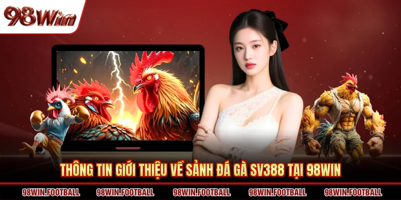 Đá Gà SV388 - Sảnh Trực Tiếp Đá Gà Thu Hút Tại 98WIN - BETZEN88.CASA