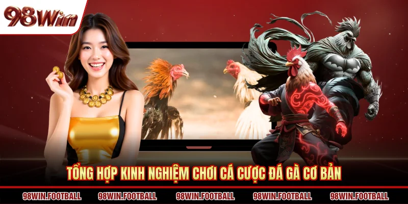 Đá gà Thomo 98WIN - Khám Phá Hình Thức Thi Đấu Cực Ăn Khách - BETZEN88.CASA