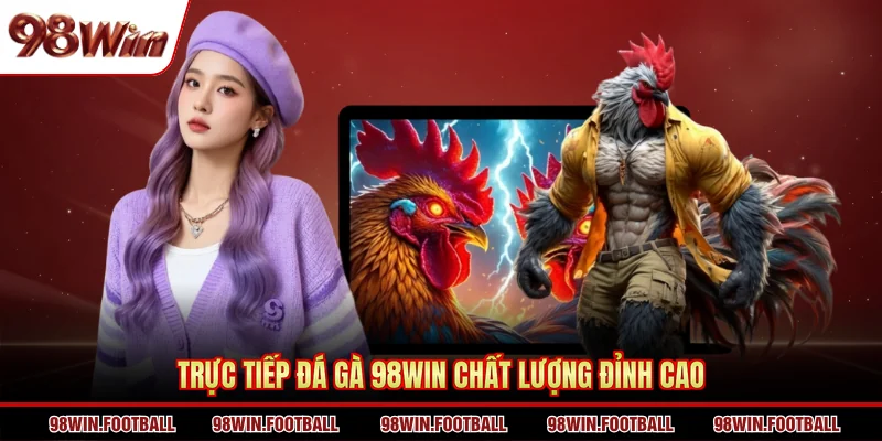 Trực Tiếp Đá Gà 98win - Theo Dõi Và Cược Chọi Kê Chất Lượng - BETZEN88.CASA