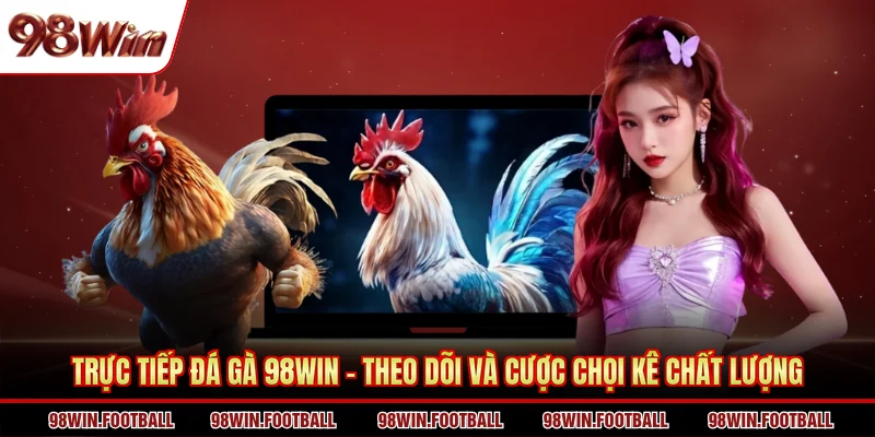 Đá Gà 98win - Trải Nghiệm Cá Cược Chọi Kê Kịch Tính - BETZEN88.CASA
