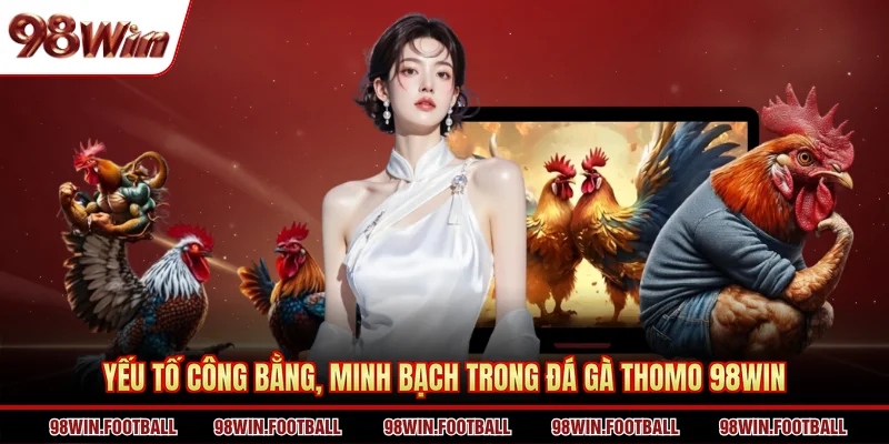 Đá gà Thomo 98WIN - Khám Phá Hình Thức Thi Đấu Cực Ăn Khách - BETZEN88.CASA